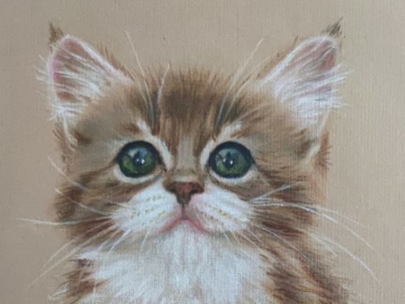 Сухая кисть. Котики